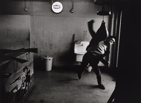 Provoke : entre contestation et performance